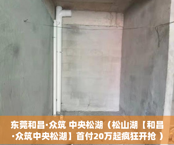 东莞和昌·众筑 中央松湖（松山湖【和昌·众筑中央松湖】首付20万起疯狂开抢 ）小产权房分期最多多久，