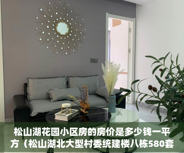 松山湖花园小区房的房价是多少钱一平方（松山湖北大型村委统建楼八栋580套【东方明珠】 ）买小产权房怎么样，