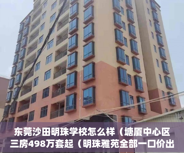 东莞沙田明珠学校怎么样（塘厦中心区三房498万套起（明珠雅苑全部一口价出售 ）小产权贷款多久能批下来，