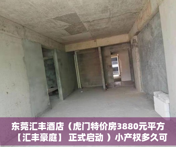 东莞汇丰酒店（虎门特价房3880元平方【汇丰豪庭】 正式启动 ）小产权多久可以更名，