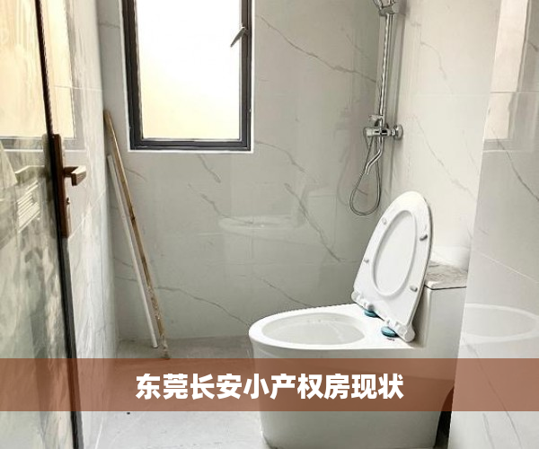 东莞长安小产权房现状 东莞长安小产权房现状