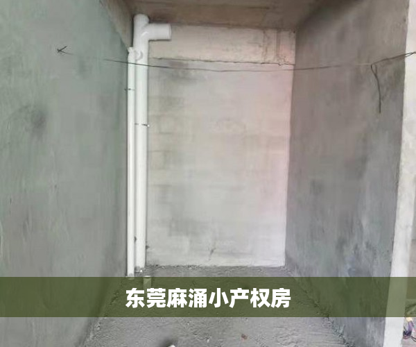 东莞麻涌小产权房 东莞麻涌小产权房