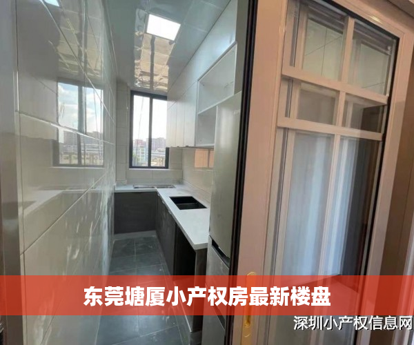 东莞塘厦小产权房最新楼盘 东莞塘厦小产权房最新楼盘