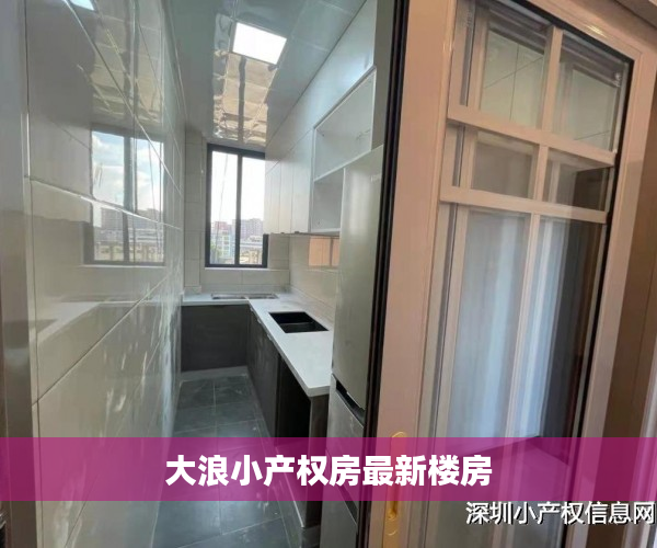 大浪小产权房最新楼房 大浪小产权房最新楼房
