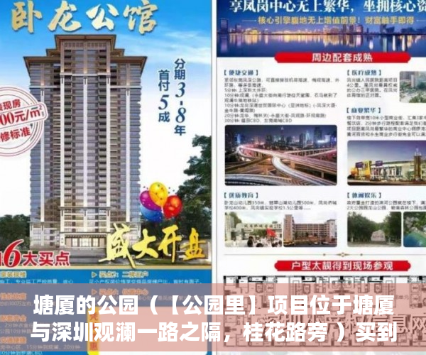 塘厦的公园（【公园里】项目位于塘厦与深圳观澜一路之隔，桂花路旁 ）买到小产权房无法过户怎么办，