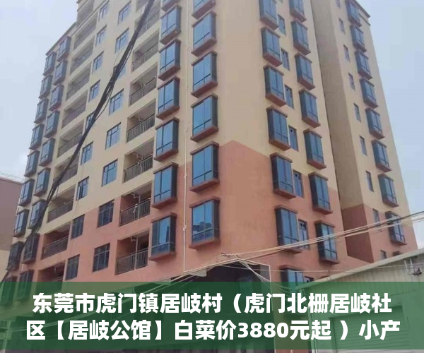 东莞市虎门镇居岐村（虎门北栅居岐社区【居岐公馆】白菜价3880元起 ）小产权没有证怎么加名字，