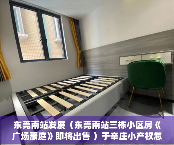 东莞南站发展（东莞南站三栋小区房《广场豪庭》即将出售 ）于辛庄小产权怎么处理，