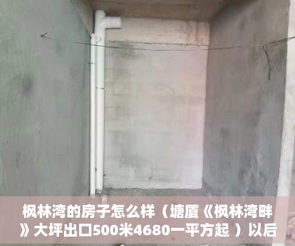 枫林湾的房子怎么样（塘厦《枫林湾畔》大坪出口500米4680一平方起 ）以后小产权房怎么处理，