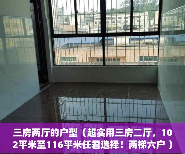 三房两厅的户型（超实用三房二厅，102平米至116平米任君选择！两梯六户 ）村里有小产权怎么办，