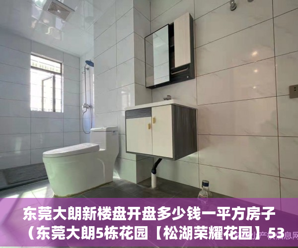 东莞大朗新楼盘开盘多少钱一平方房子（东莞大朗5栋花园【松湖荣耀花园】5380一平起 ）小产权住宅信息统计表怎么填，