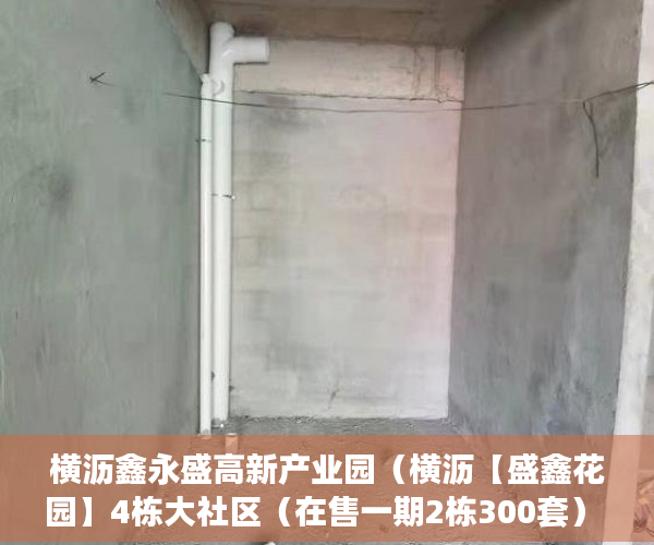 横沥鑫永盛高新产业园（横沥【盛鑫花园】4栋大社区（在售一期2栋300套） ）小产权房查封多久可以拍卖，
