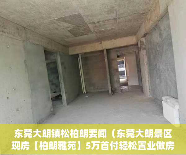 东莞大朗镇松柏朗要闻（东莞大朗景区现房【柏朗雅苑】5万首付轻松置业做房东！ ）深圳小产权卖了多久能申请公租房，