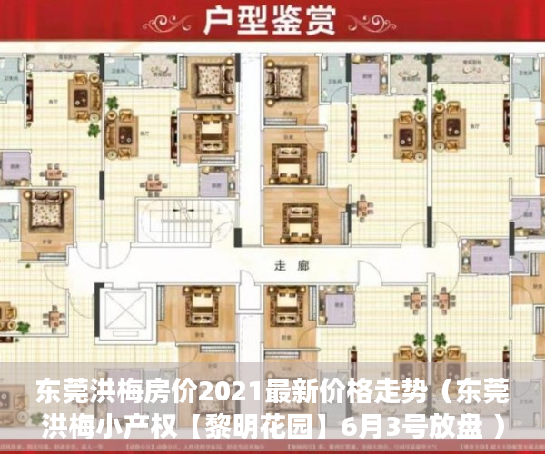 东莞洪梅房价2021最新价格走势（东莞洪梅小产权【黎明花园】6月3号放盘 ）买小产权多久可以入住，
