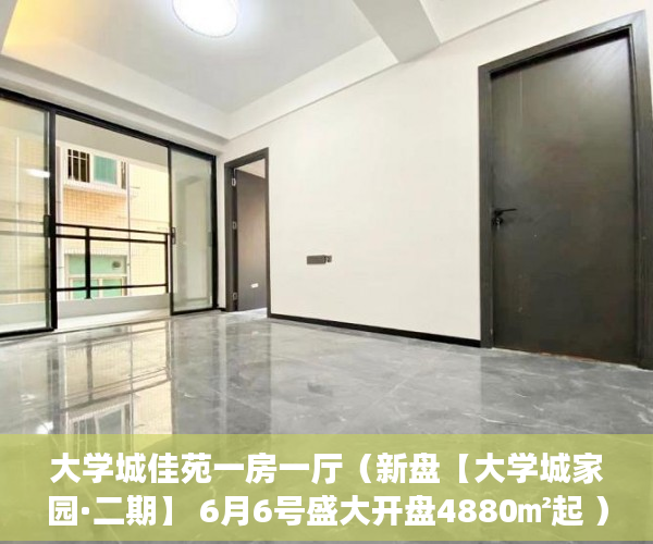大学城佳苑一房一厅（新盘【大学城家园·二期】 6月6号盛大开盘4880㎡起 ）大产权证办好多久可以办小产权证，