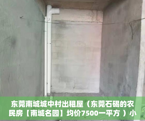 东莞南城城中村出租屋（东莞石碣的农民房【南城名园】均价7500一平方 ）小产权集体产权房年限多久，