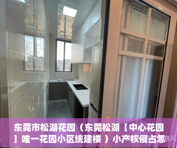 东莞市松湖花园（东莞松湖【中心花园】唯一花园小区统建楼 ）小产权侵占怎么办，