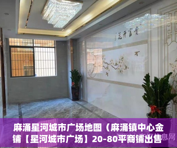麻涌星河城市广场地图（麻涌镇中心金铺【星河城市广场】20-80平商铺出售 ）小产权房怎么办证，