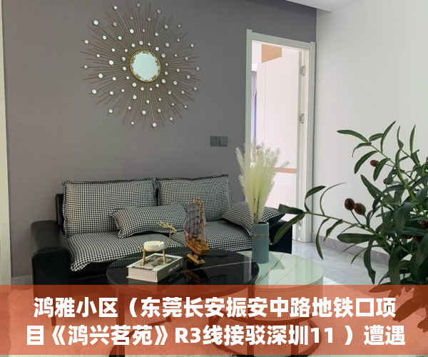 鸿雅小区（东莞长安振安中路地铁口项目《鸿兴茗苑》R3线接驳深圳11 ）遭遇拆迁时小产权怎么赔偿，
