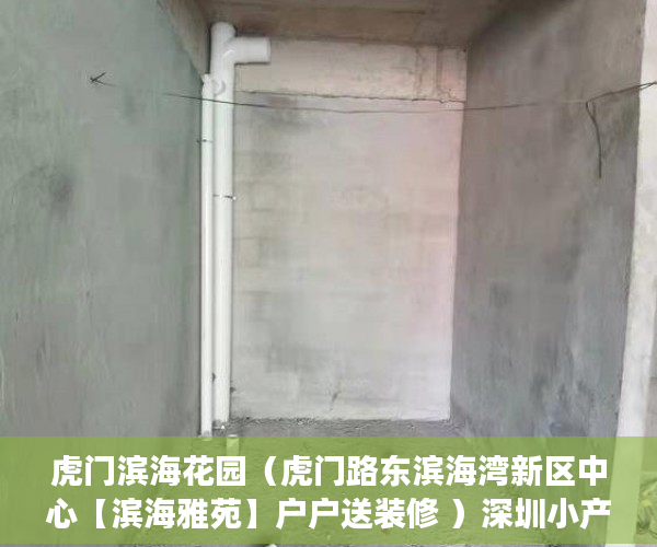 虎门滨海花园（虎门路东滨海湾新区中心【滨海雅苑】户户送装修 ）深圳小产权还能卖多久，