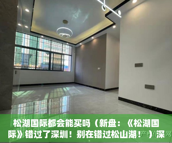 松湖国际都会能买吗（新盘：《松湖国际》错过了深圳！别在错过松山湖！ ）深圳小产权房产证多久能办下来，