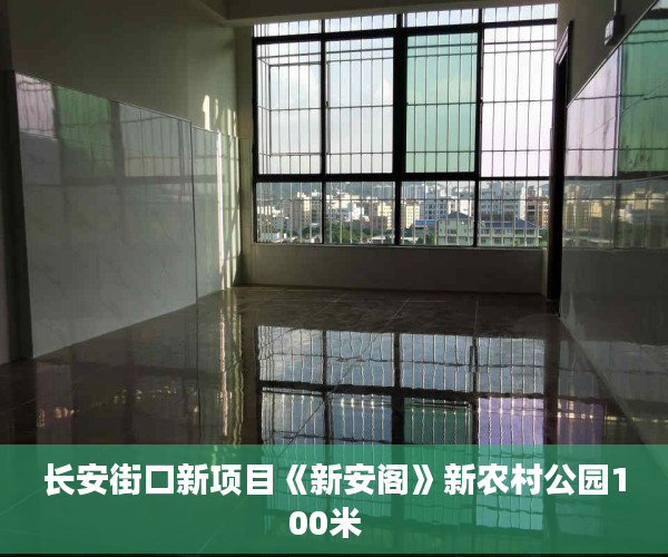 长安街口新项目《新安阁》新农村公园100米  