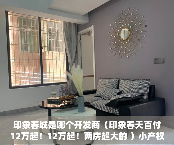 印象春城是哪个开发商（印象春天首付12万起！12万起！两房超大的 ）小产权loft贷款多久还清，