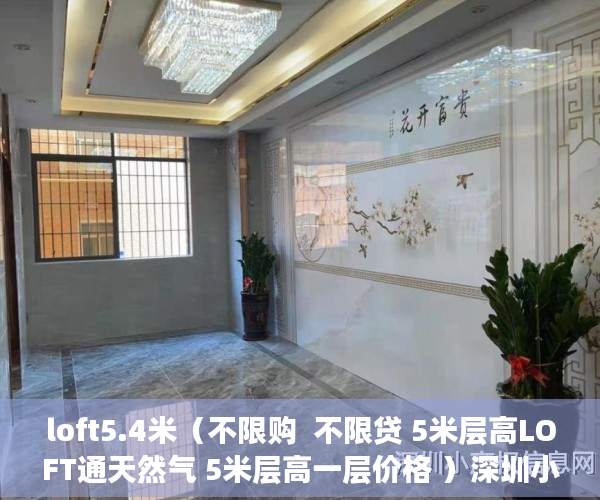 loft5.4米（不限购  不限贷 5米层高LOFT通天然气 5米层高一层价格 ）深圳小产权房需要多久的社保，