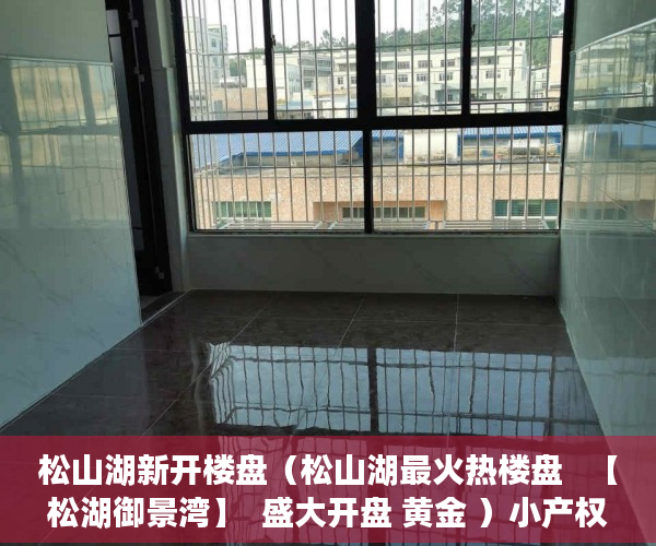 松山湖新开楼盘（松山湖最火热楼盘   【松湖御景湾】  盛大开盘 黄金 ）小产权多久下房产证，
