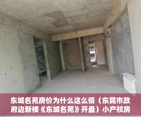 东城名苑房价为什么这么低（东莞市政府边新楼《东城名苑》开盘）小产权房使用年限是多久，