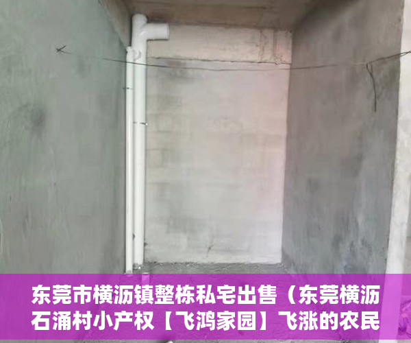 东莞市横沥镇整栋私宅出售（东莞横沥石涌村小产权【飞鸿家园】飞涨的农民房 ）小产权是多久，