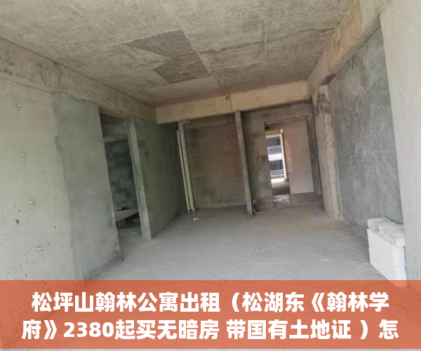 松坪山翰林公寓出租（松湖东《翰林学府》2380起买无暗房 带国有土地证 ）怎么查小产权房，