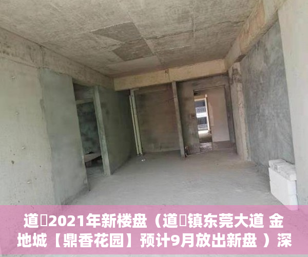 道滘2021年新楼盘（道滘镇东莞大道 金地城【鼎香花园】预计9月放出新盘 ）深圳小产权多久可以买，