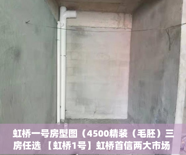 虹桥一号房型图（4500精装（毛胚）三房任选 【虹桥1号】虹桥首信两大市场 ）买的最长的小产权房现在住多久了，
