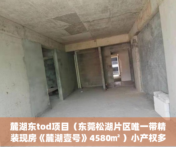 麓湖东tod项目（东莞松湖片区唯一带精装现房《麓湖壹号》4580㎡ ）小产权多久变成大产权，