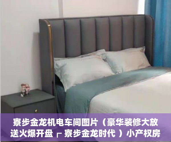 寮步金龙机电车间图片（豪华装修大放送火爆开盘┏ 寮步金龙时代 ）小产权房能查封多久，