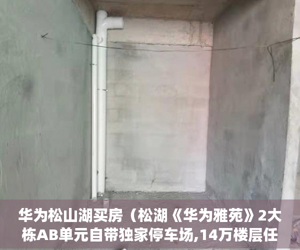 华为松山湖买房（松湖《华为雅苑》2大栋AB单元自带独家停车场,14万楼层任 ）一般小产权房交房需要多久，