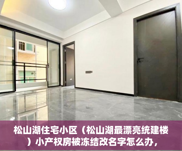 松山湖住宅小区（松山湖最漂亮统建楼）小产权房被冻结改名字怎么办，