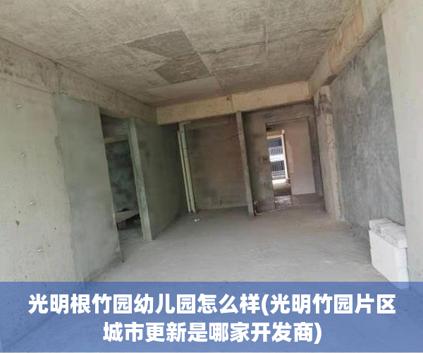 光明根竹园幼儿园怎么样(光明竹园片区城市更新是哪家开发商)