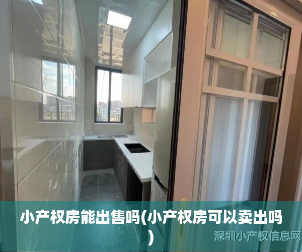 小产权房能出售吗(小产权房可以卖出吗) 小产权房能出售吗(小产权房可以卖出吗)