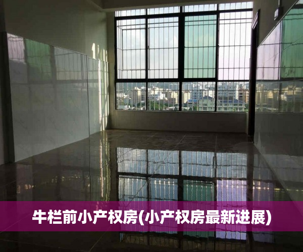 牛栏前小产权房(小产权房最新进展) 牛栏前小产权房(小产权房最新进展)