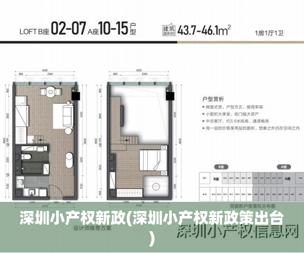 深圳小产权新政(深圳小产权新政策出台)