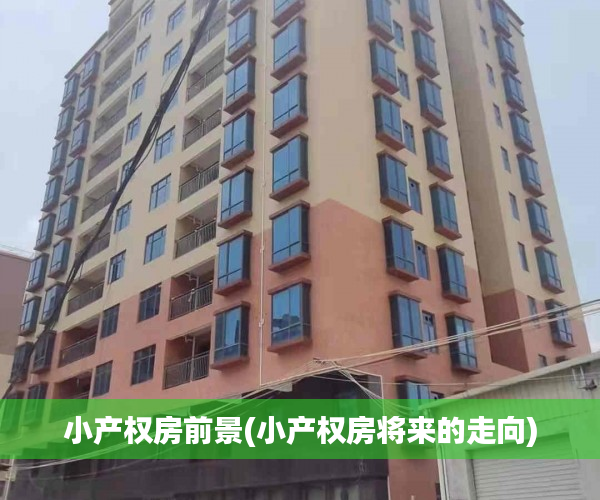 小产权房前景(小产权房将来的走向)
