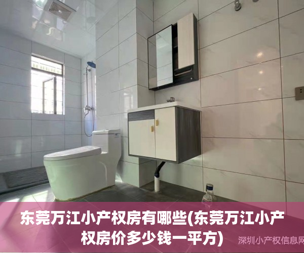 东莞万江小产权房有哪些(东莞万江小产权房价多少钱一平方)