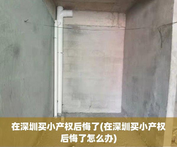 在深圳买小产权后悔了(在深圳买小产权后悔了怎么办) 在深圳买小产权后悔了(在深圳买小产权后悔了怎么办)