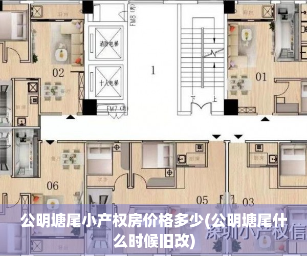 公明塘尾小产权房价格多少(公明塘尾什么时候旧改)