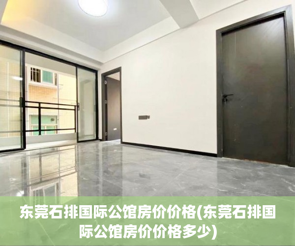 东莞石排国际公馆房价价格(东莞石排国际公馆房价价格多少)