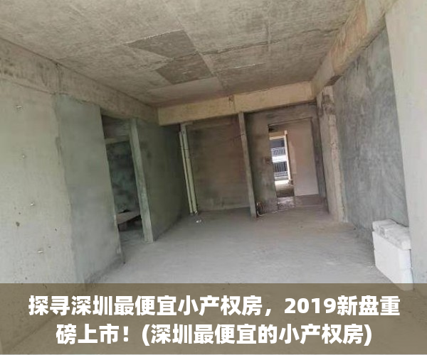 探寻深圳最便宜小产权房，2019新盘重磅上市！(深圳最便宜的小产权房)