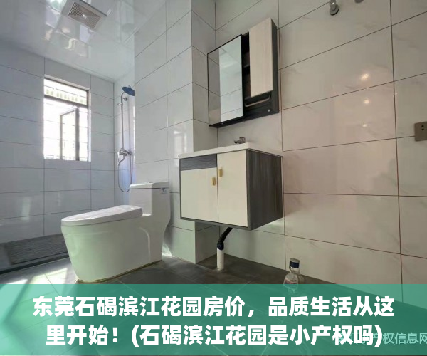 东莞石碣滨江花园房价，品质生活从这里开始！(石碣滨江花园是小产权吗)
