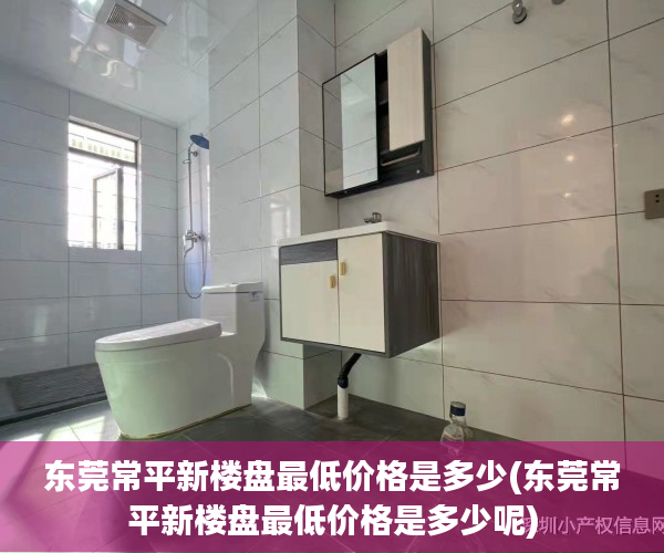 东莞常平新楼盘最低价格是多少(东莞常平新楼盘最低价格是多少呢)