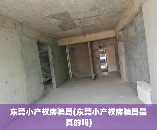 东莞小产权房骗局(东莞小产权房骗局是真的吗) 东莞小产权房骗局(东莞小产权房骗局是真的吗)